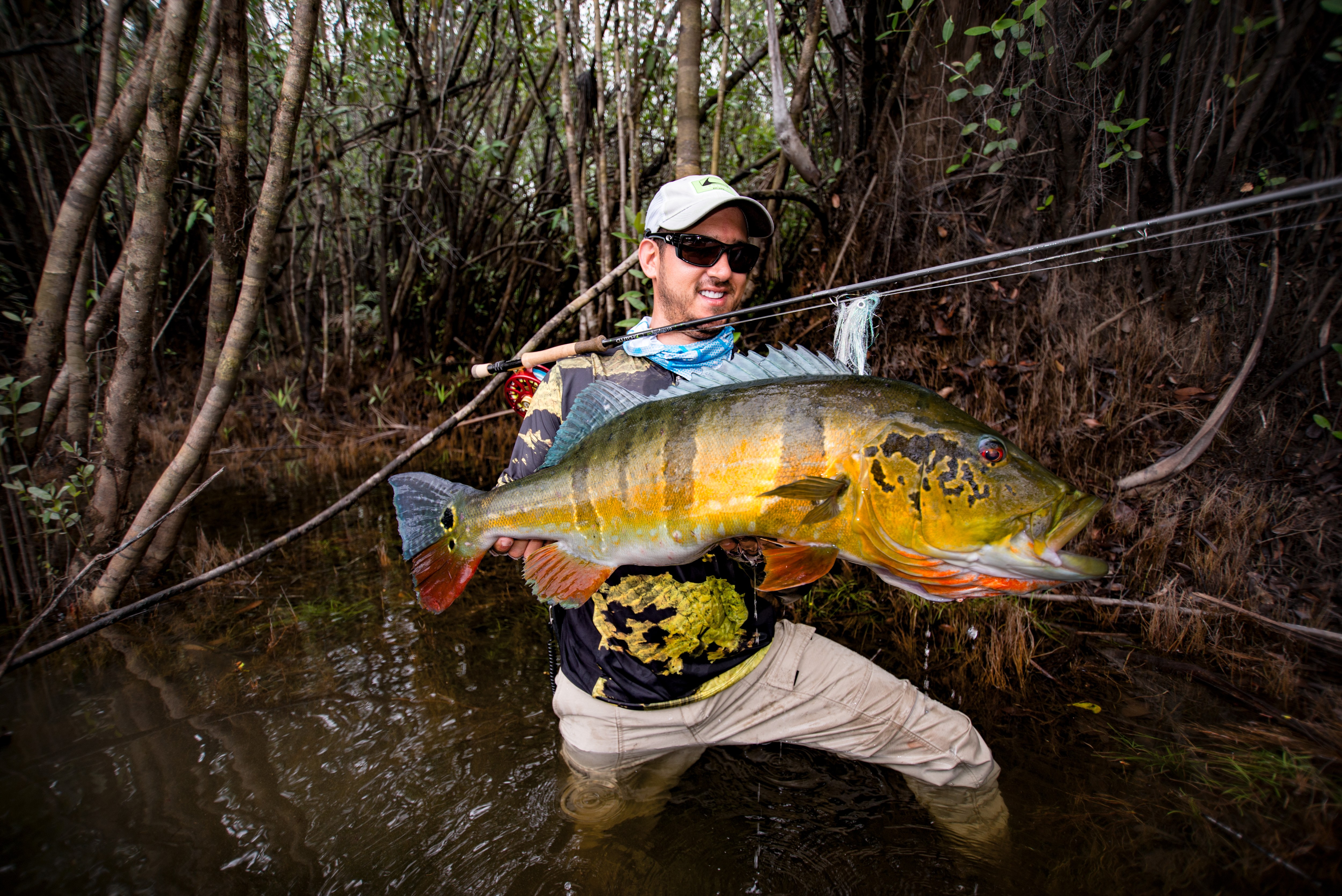 How to Catch Massive Jungle Peacock Bass - Flylords Mag