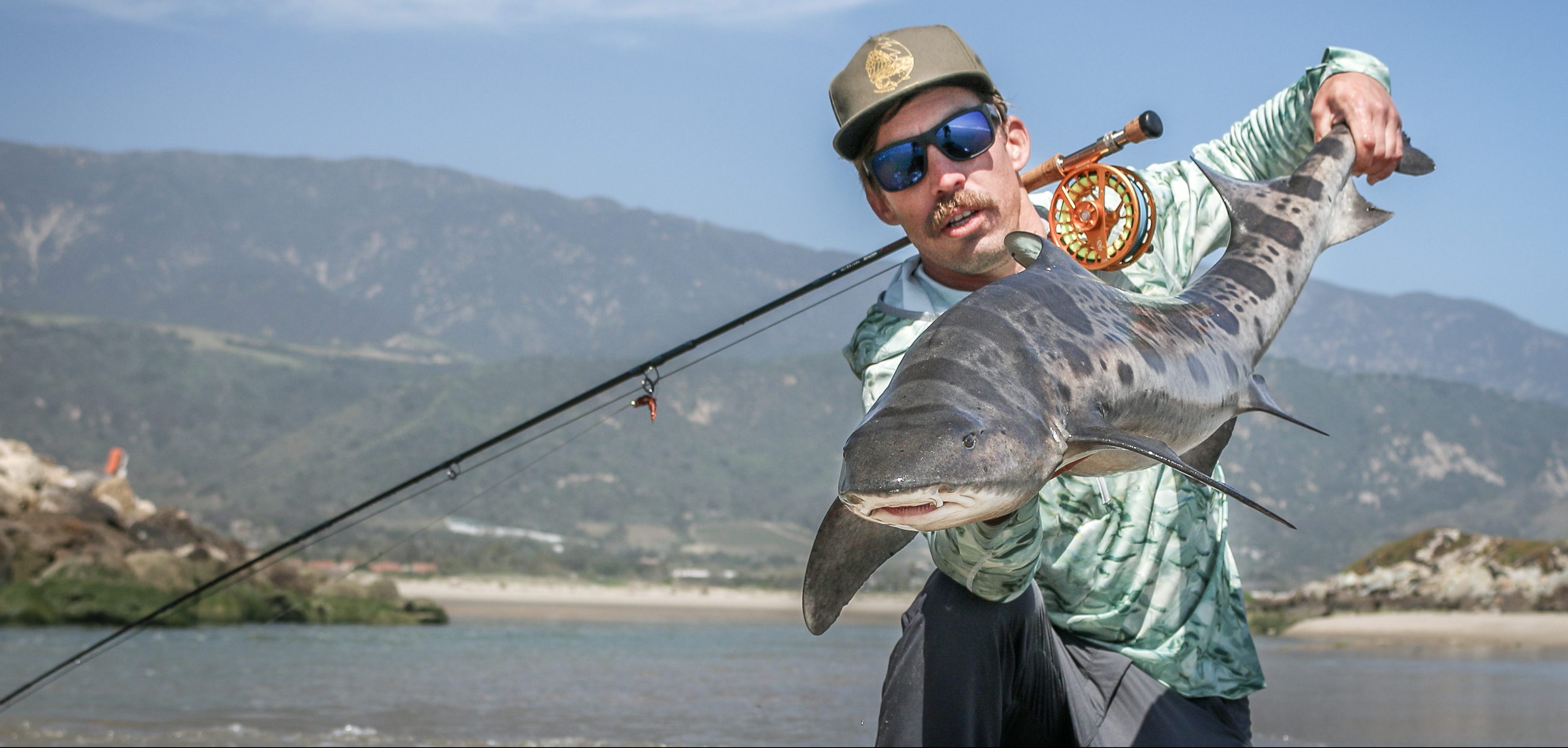 Shark Week On Fly Leopard Shark Flylords Mag