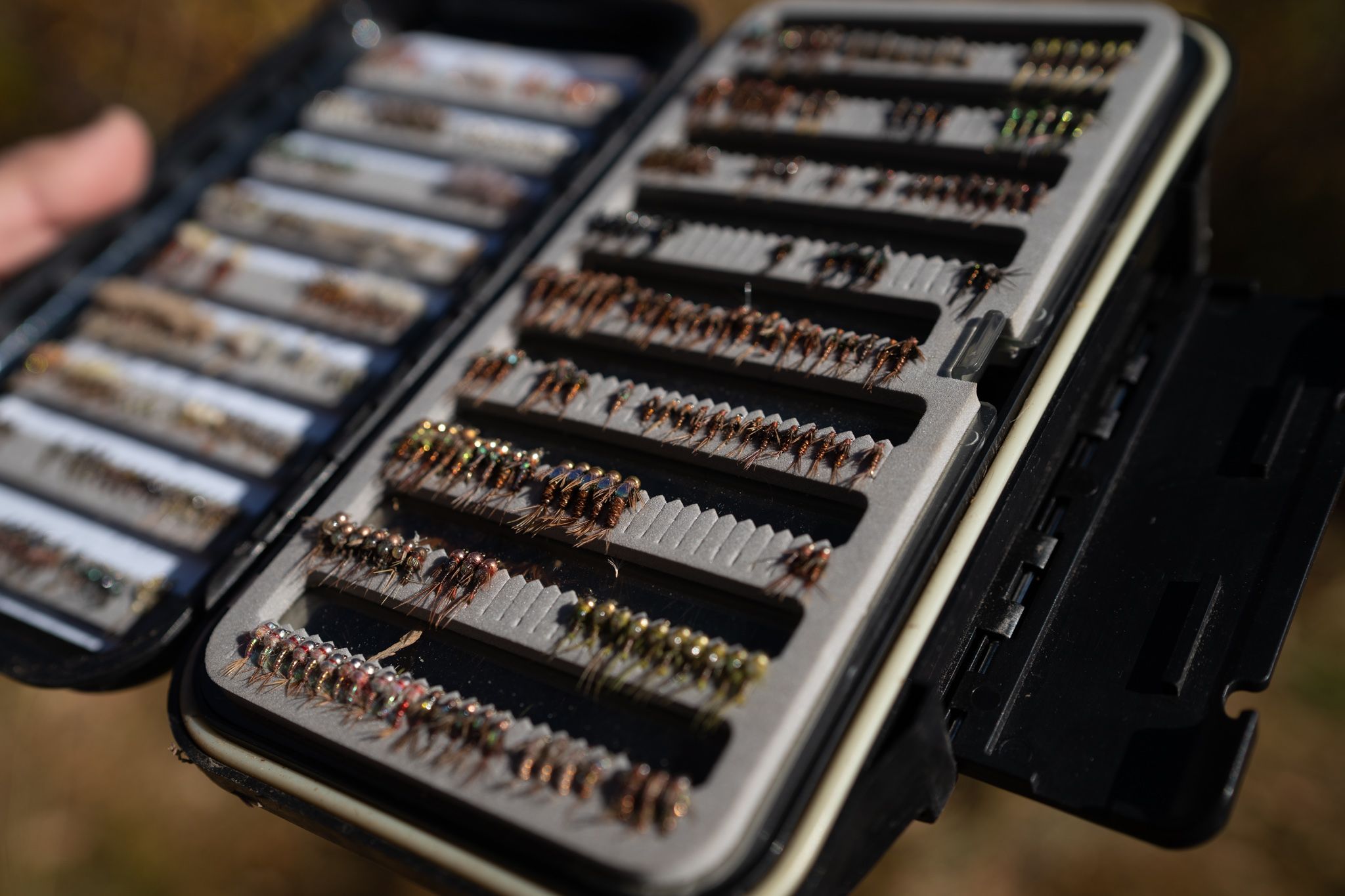 The Best Fly Boxes For Trout Flies