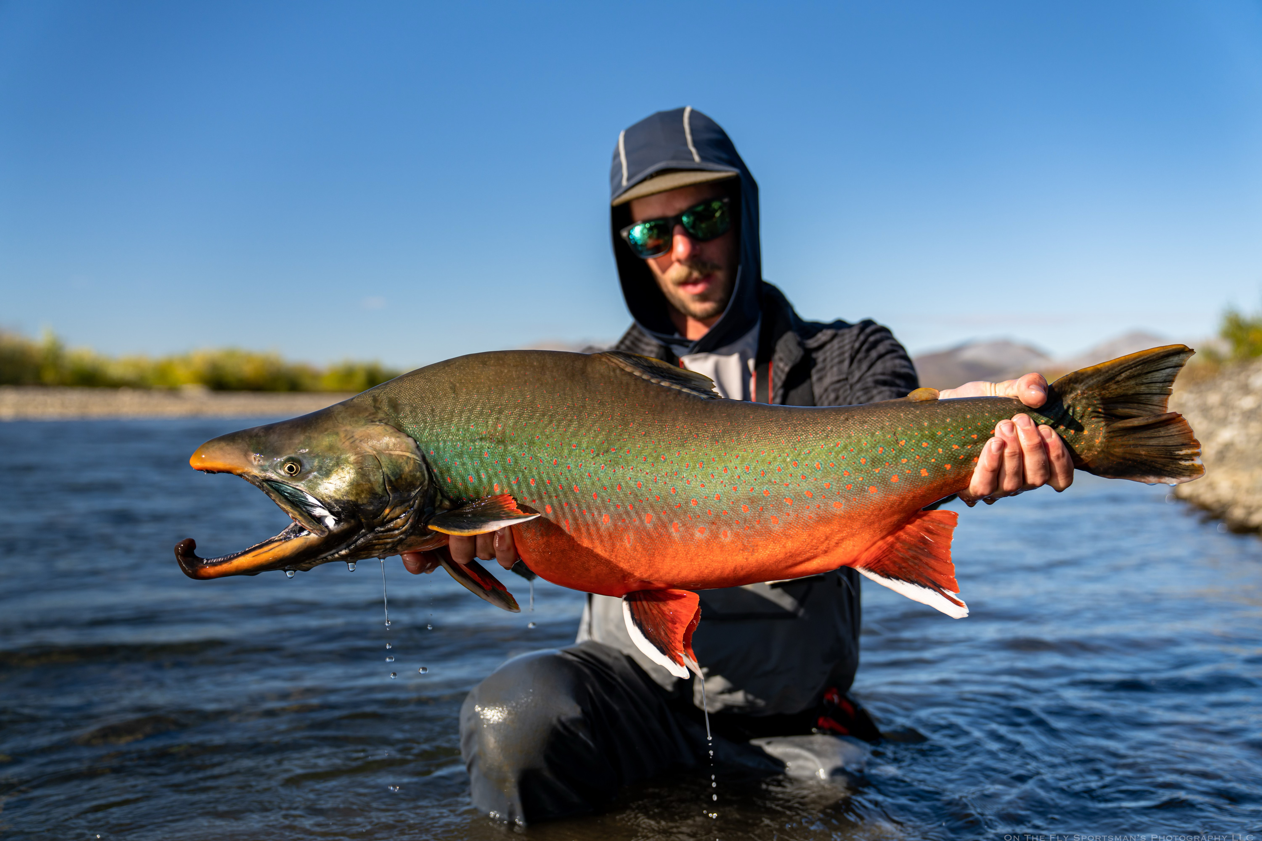 Angler Story of the Week Alaskan Dolly Varden Flylords Mag