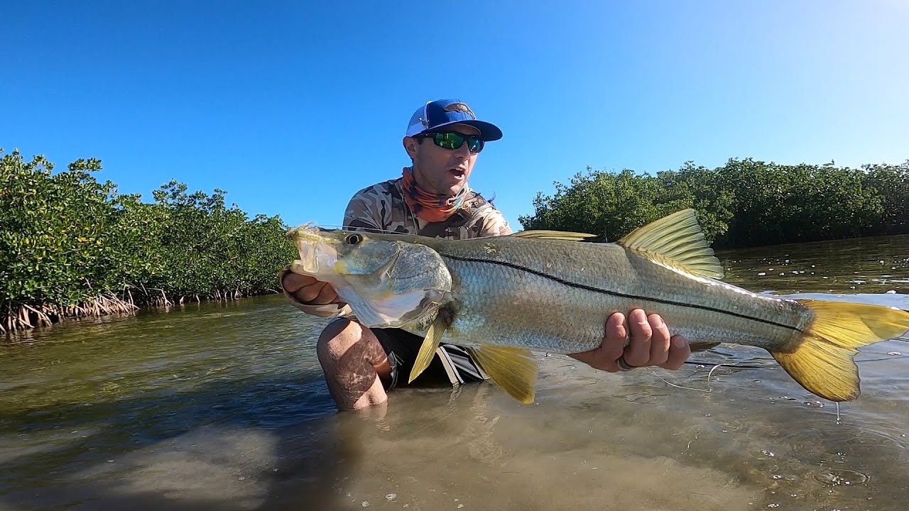 Fishing Tips How to Fly Fish for Snook Flylords Mag
