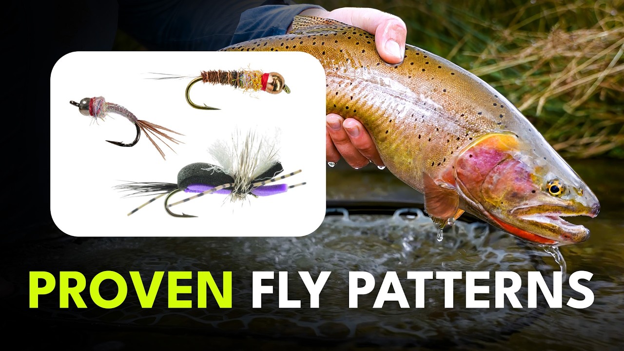 Fish Are Rising Fishing Tips: Flies That Work When No Fish Are Rising - Flylords Mag