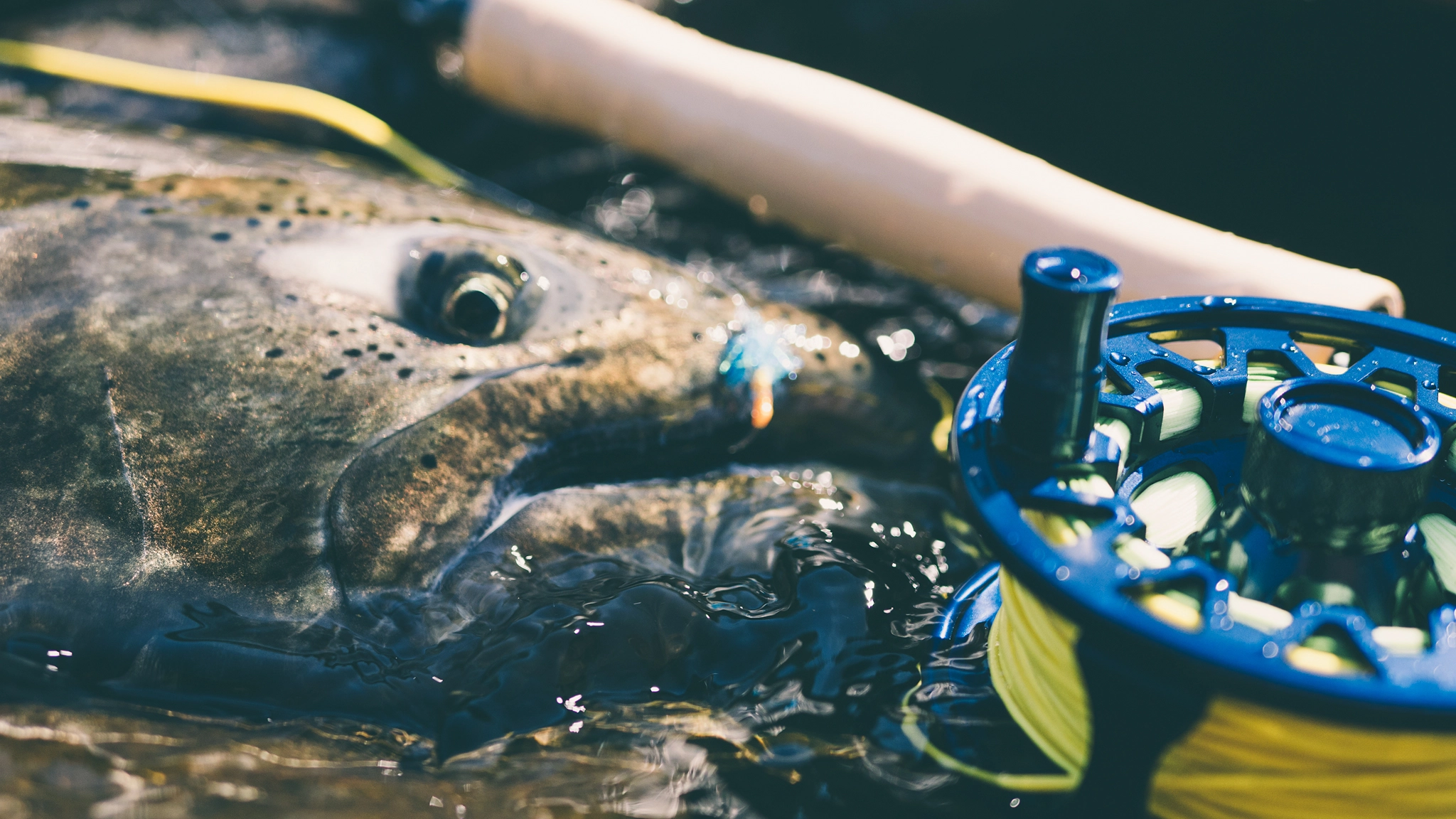 black friday fly fishing rod deals Can't Miss Black Friday Fly Fishing Deals
