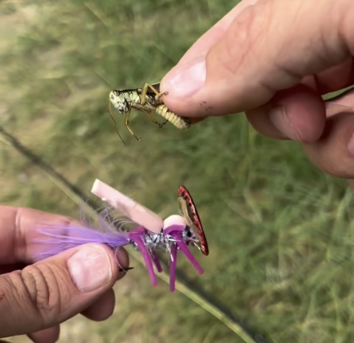 Reel of the Week: The Most Realistic Fly Ever - Flylords Mag