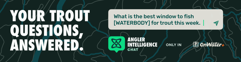 Angler Intelligence_Trout Week_Fly Lords Banner_970x250