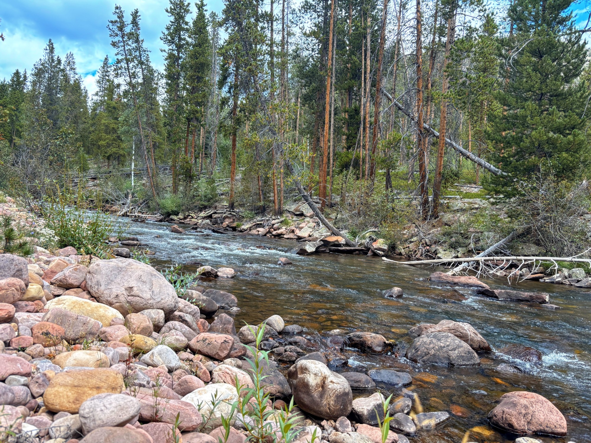 The Drift: The Greatest Creek In Utah